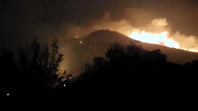 Denizli'deki orman yangını rüzgarla yayıldı