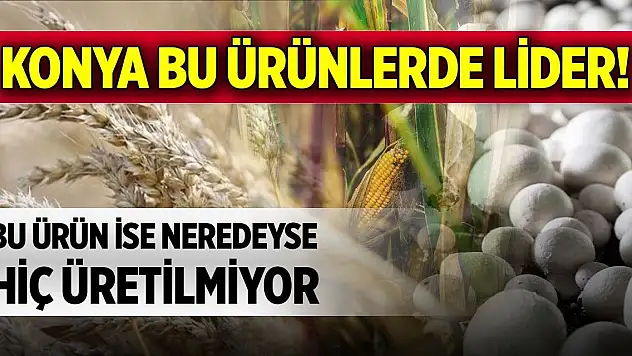 Konya bu ürünlerde lider! Bu ürün ise neredeyse hiç üretilmiyor