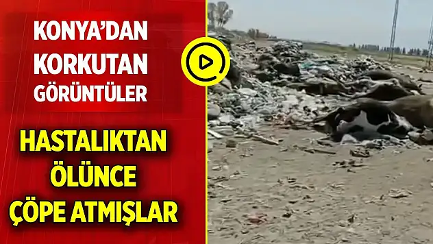 Konya'dan korkutan görüntüler! Belediyeye acil çağrı