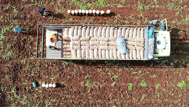 Ağustosta fiyatı en çok düşen ürün belli oldu