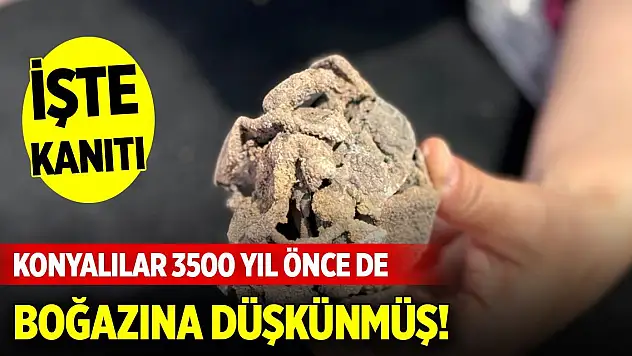 Konyalılar 3500 yıl önce de boğazına düşkünmüş! İşte kanıtı