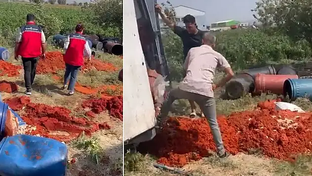 Salça denetimi... 6 ton domates posası imha edildi