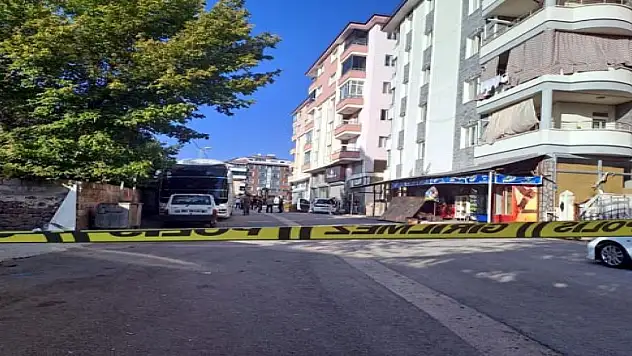 Araçlarında otururken kurşun yağmuruna tutulan 2 kardeş, öldü