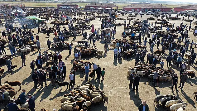 Bakan Yumaklı Konya dahil 44 ili sevindiren haberi duyurdu