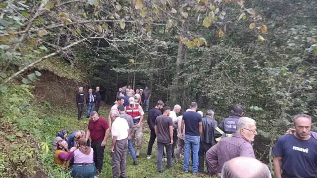 Feci kaza: Uçuruma yuvarlanan patpatın altında can verdi