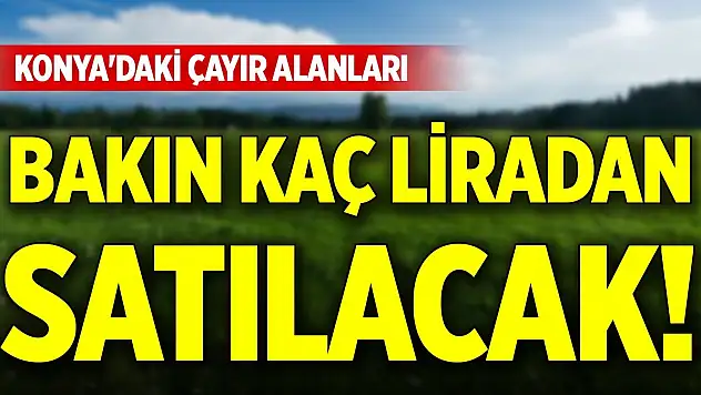 Konya'daki çayır alanları bakın kaç liradan satılacak!
