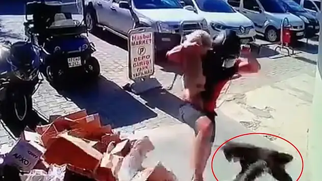 Kediyi tekmeledi! Gözaltında