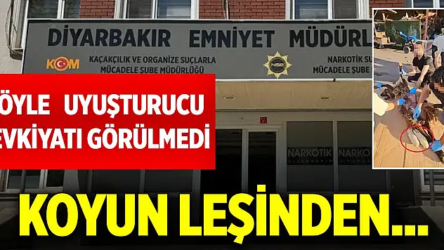 Böyle uyuşturucu sevkiyatı görülmedi! Koyun leşinden...