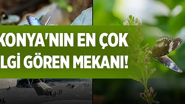 Konya'nın en çok ilgi gören mekanı!