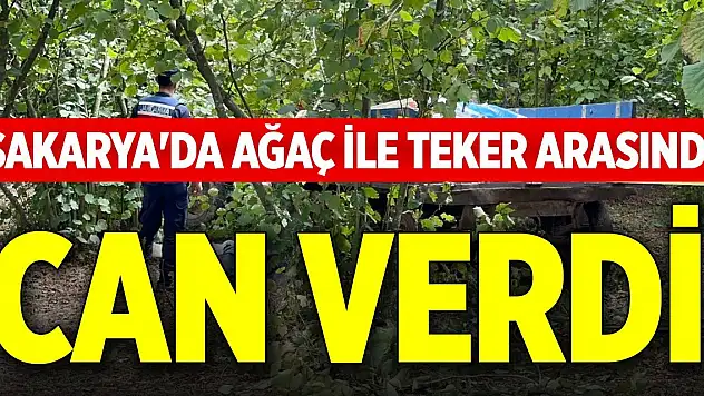 Sakarya'da ağaç ile teker arasında can verdi