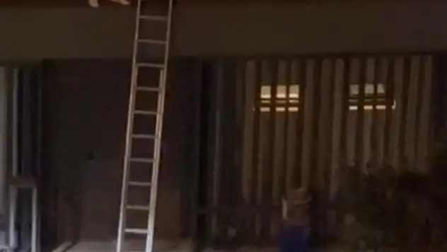 Konseri izlemek için çatıya çıkan gençlere şiddet uygulayan kişi tutuklandı