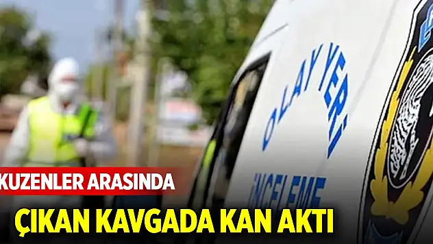 Kuzenler arasında çıkan kavgada kan aktı
