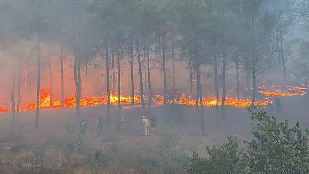 Yangın büyüdü! 108 ev tahliye edildi