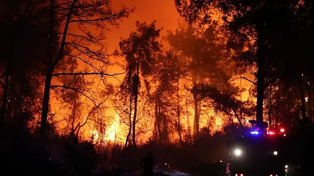 Antalya'nın Aksu ilçesinde orman yangını çıktı