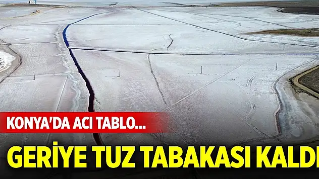 Konya'da acı tablo... Geriye tuz tabakası kaldı
