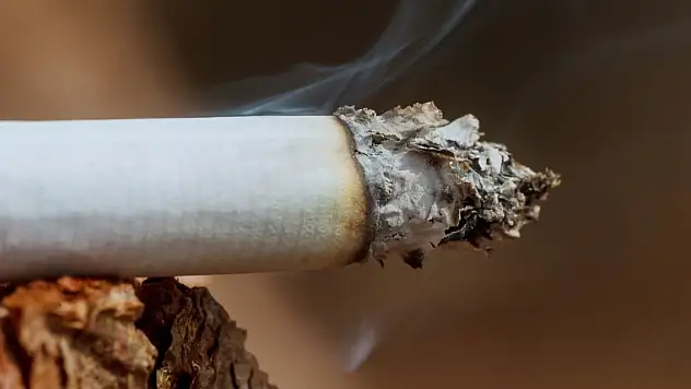 Her 2 erkekten ve her 4 kadından biri sigara içiyor