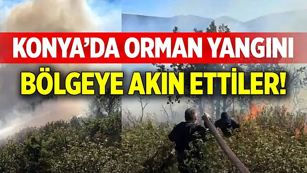 Konya'da orman yangını! Bölgeye akın ettiler