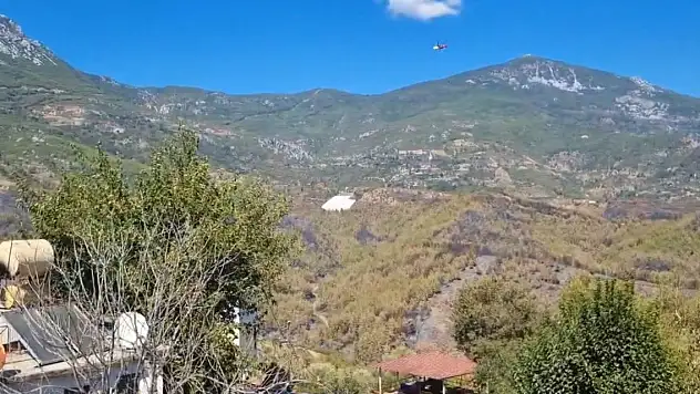 Orman yangınlarında 400 hektar alan zarar gördü