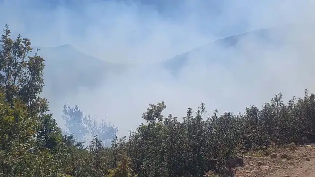 Konya'daki yangın kısa sürede söndürüldü