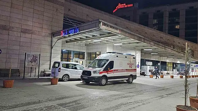 Ağaçtan düşen şahıs hayatını kaybetti