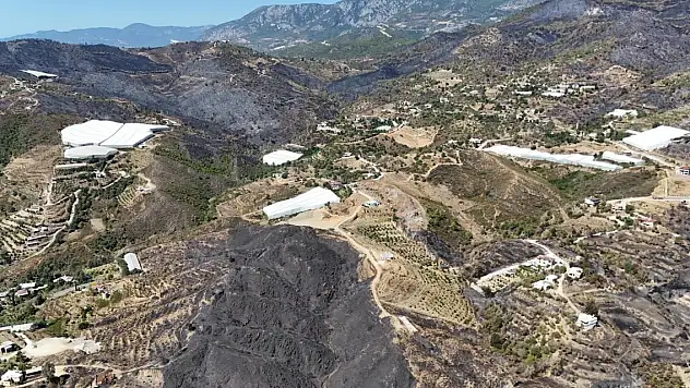 Antalya'daki orman yangınlarında 1350 hektar alan zarar gördü
