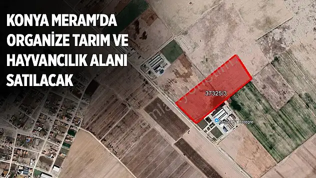 Konya Meram'da organize tarım ve hayvancılık alanı satılacak