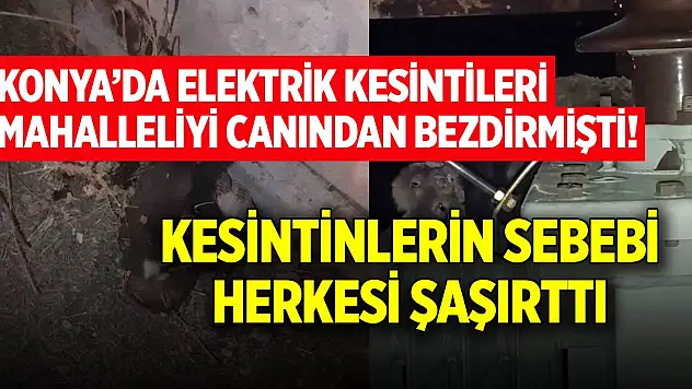 Konya'da vatandaşı çileden çıkaran elektrik kesintilerinin sebebi şaşırttı!