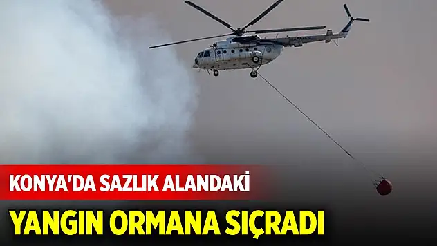 Konya'da sazlık alandaki yangın ormana sıçradı
