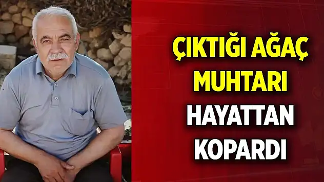 Çıktığı ağaç muhtarı hayattan kopardı