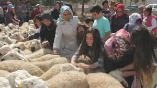 Ribat bu bayram canlı kurban dağıtıyor