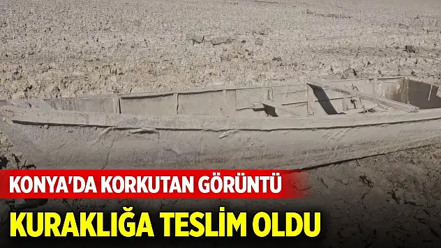 Konya'da korkutan görüntü... Kuraklığa teslim oldu