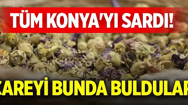 Tüm Konya'yı sardı! Çareyi bunda buldular