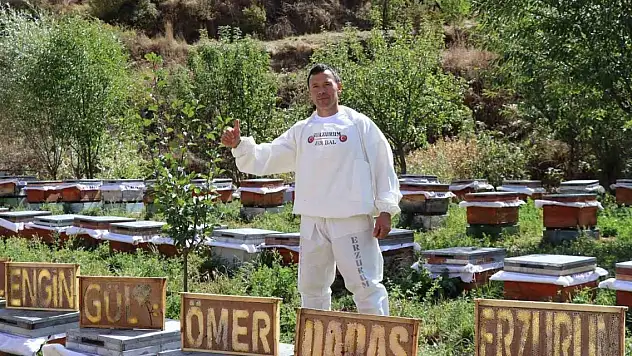 Arılarına yazmayı öğretti