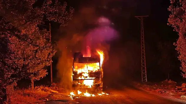 Park halindeki kamyon cayır cayır yandı