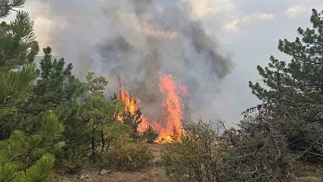 Konya'da ormanlık alanda çıkan yangın söndürüldü