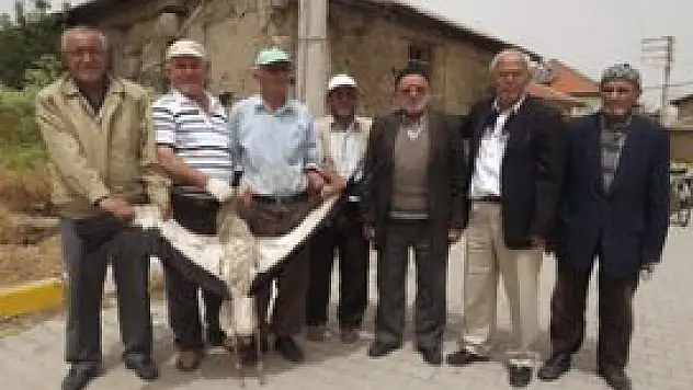 Kesecik leylekler vadisine dönüşüyor