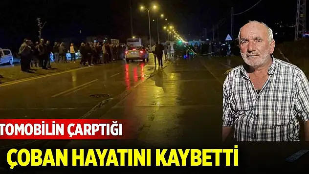 Otomobilin çarptığı çoban hayatını kaybetti