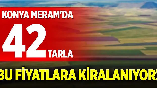 Konya Meram'da 42 tarla bu fiyatlara kiralanıyor!