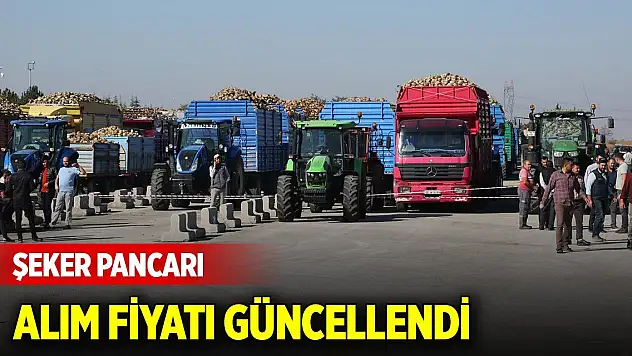 Şeker pancarı alım fiyatı güncellendi