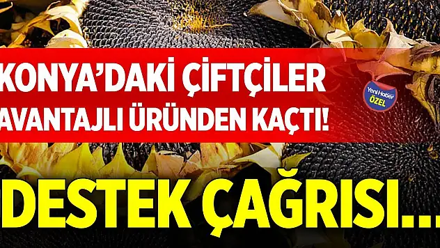 Konya'daki çiftçiler avantajlı üründen kaçtı! Destek çağrısı…