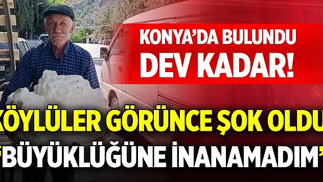 Konya'da bulundu, dev kadar! Köylüler görünce şok oldu: 'Büyüklüğüne inanamadım'