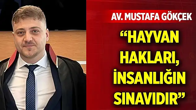 Av. Mustafa Gökçek: 'Hayvan hakları, insanlığın sınavıdır'