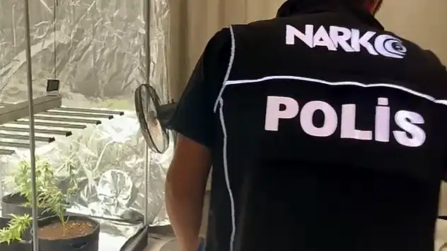 Yatak odasında kenevir!