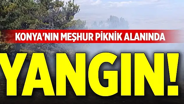 Konya'nın meşhur piknik alanında yangın!