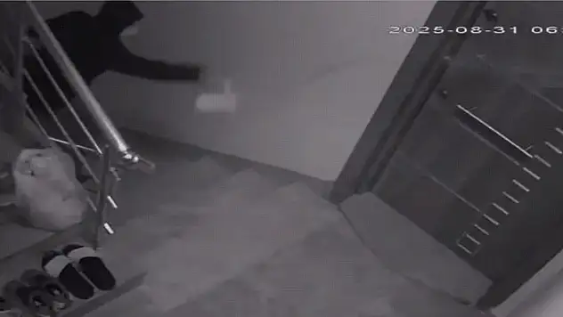 Komşularını canından bezdirdi