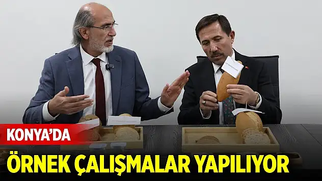 Konya'da örnek çalışmalar yapılıyor
