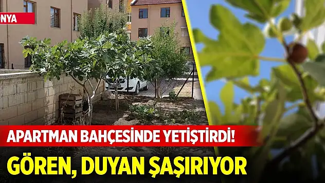 Konya'daki genç apartman bahçesinde yetiştirdi! Gören, duyan şaşırıyor