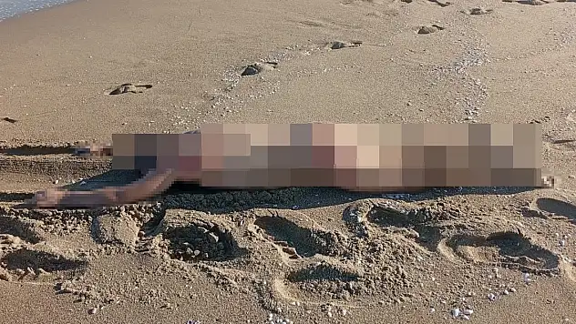 Sakarya'da sahilde çıplak erkek cesedi bulundu