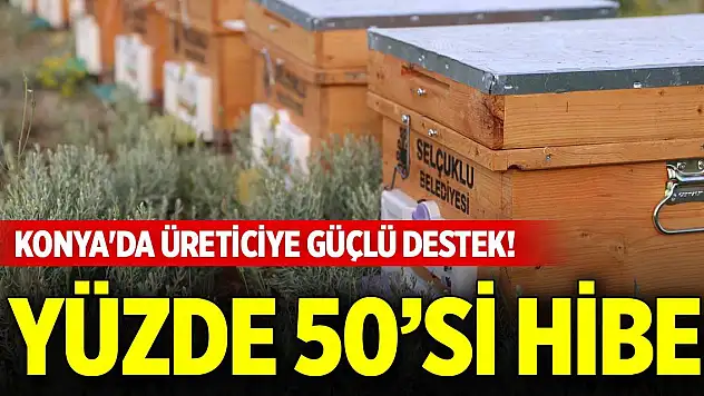 Konya'da üreticiye güçlü destek! Yüzde 50 hibeli arı kovanı desteği