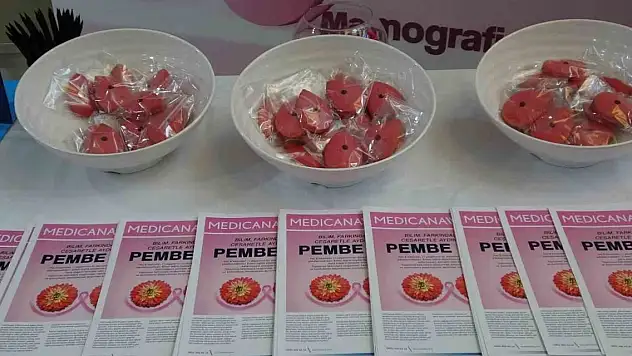 Uzmanlardan kadınlara uyarı! Erken teşhis çok önemli, ihmal etmeyin